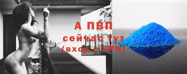 a pvp Белокуриха