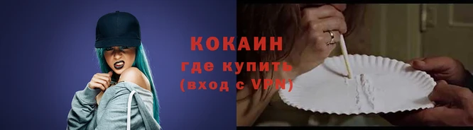 a pvp Белокуриха