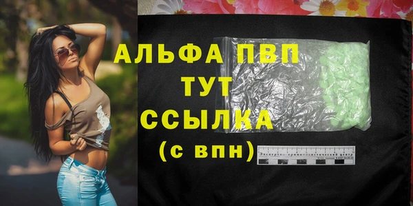 a pvp Белокуриха