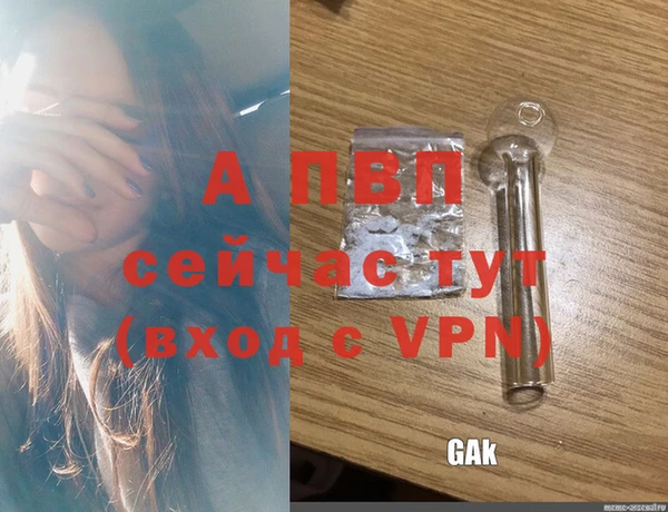 a pvp Белокуриха
