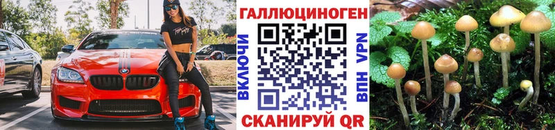 нарко площадка состав  mega сайт  Волжский  даркнет сайт  Псилоцибиновые грибы прущие грибы 